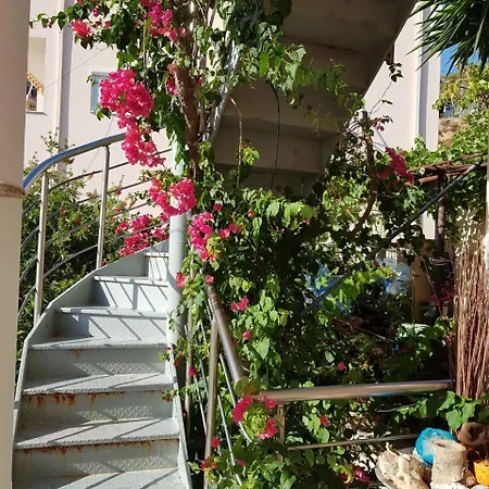 ★ Meniko's House ★ Cozy Nest Apartament