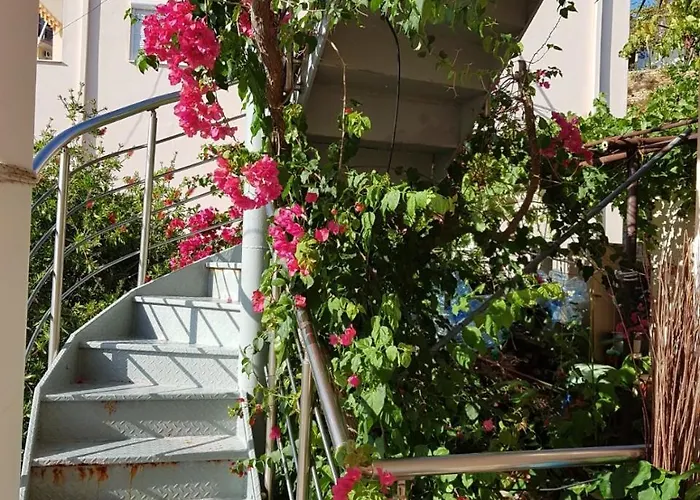 ★ Meniko's House ★ Cozy Nest Daire